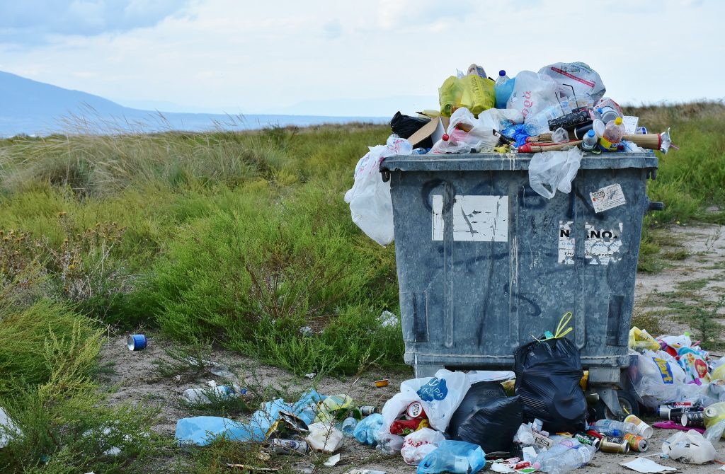 Ein Foto einer überquellenden Mülltonne in einer grünen Landschaft.